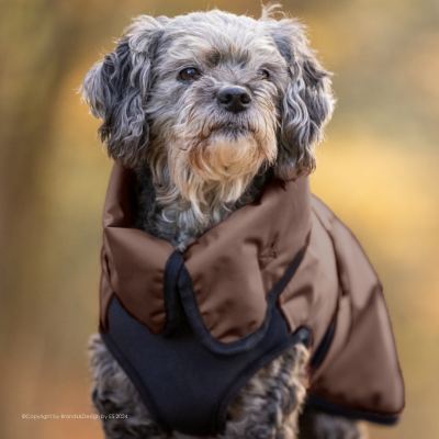 Active© cape elastic Plus Mini