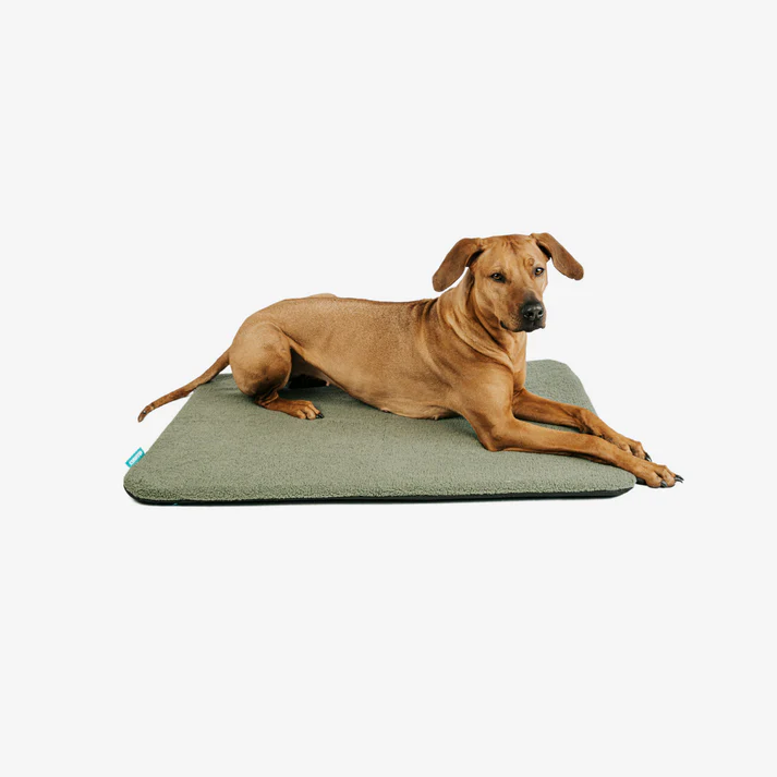 MANULY Set (Hunde Isomatte mit Bezug) – Bild 6