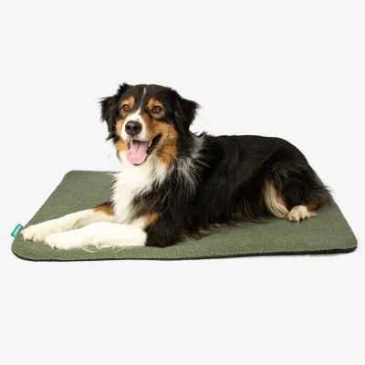 MANULY Set (Hunde Isomatte mit Bezug)